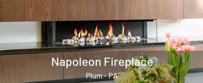  Napoleon Fireplace Plum - PA
