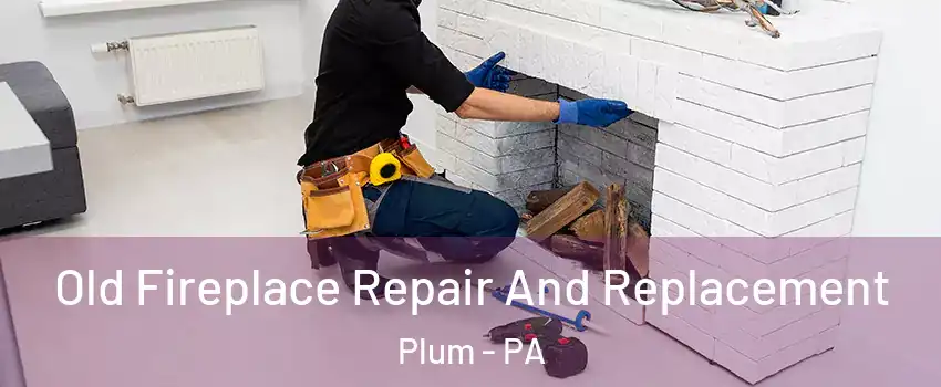  Old Fireplace Repair And Replacement Plum - PA