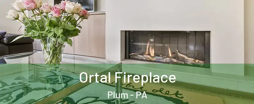 Ortal Fireplace Plum - PA