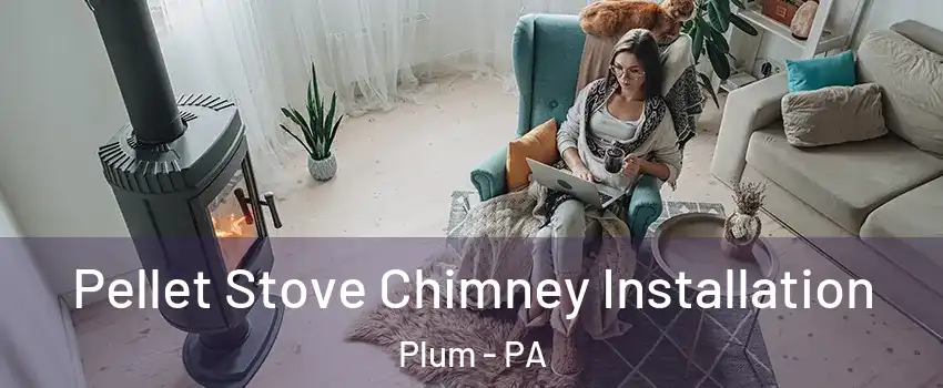  Pellet Stove Chimney Installation Plum - PA