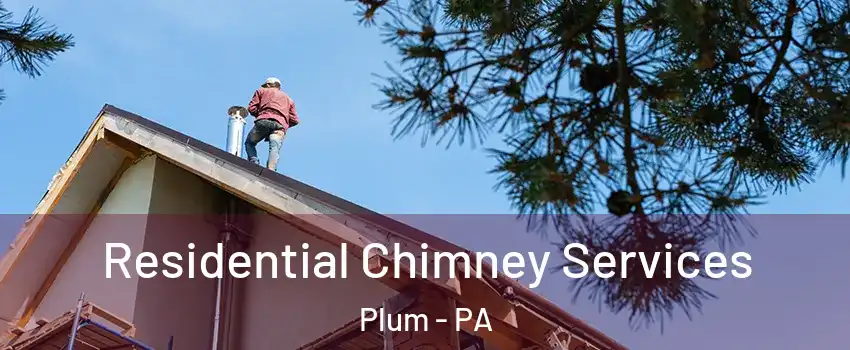  Residential Chimney Services Plum - PA