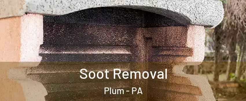  Soot Removal Plum - PA