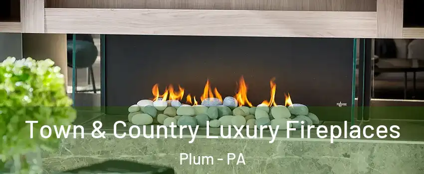  Town & Country Luxury Fireplaces Plum - PA