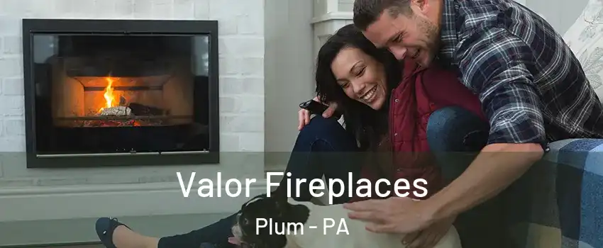  Valor Fireplaces Plum - PA