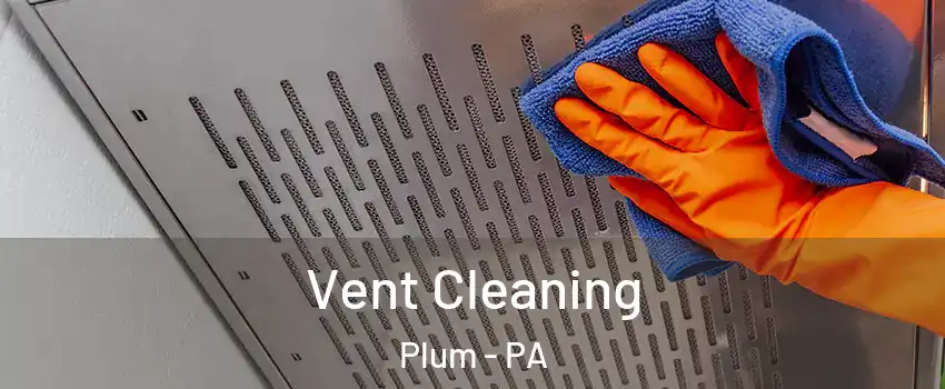  Vent Cleaning Plum - PA