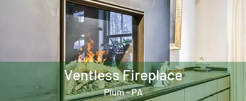  Ventless Fireplace Plum - PA