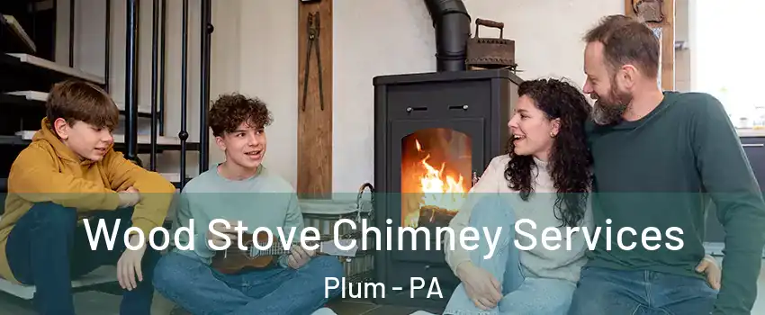  Wood Stove Chimney Services Plum - PA