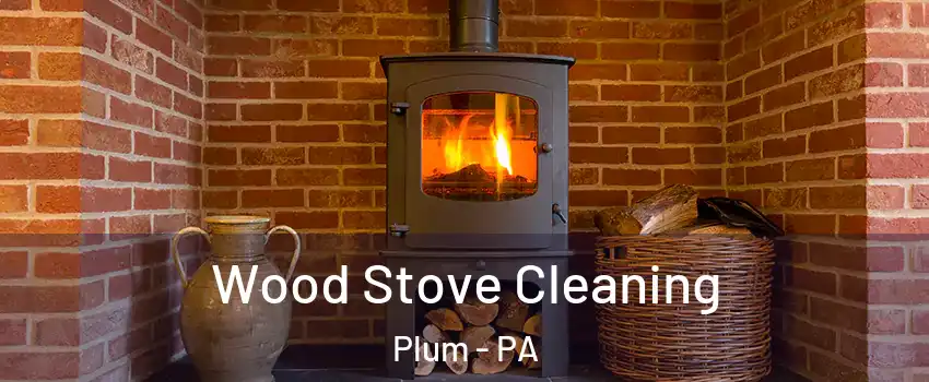  Wood Stove Cleaning Plum - PA